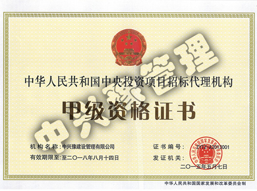 甲級中央投資項(xiàng)目招標(biāo)代理